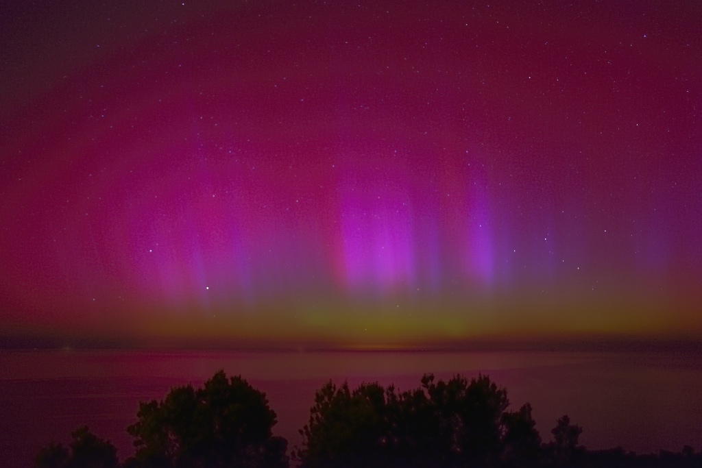 aurorasmoneda
