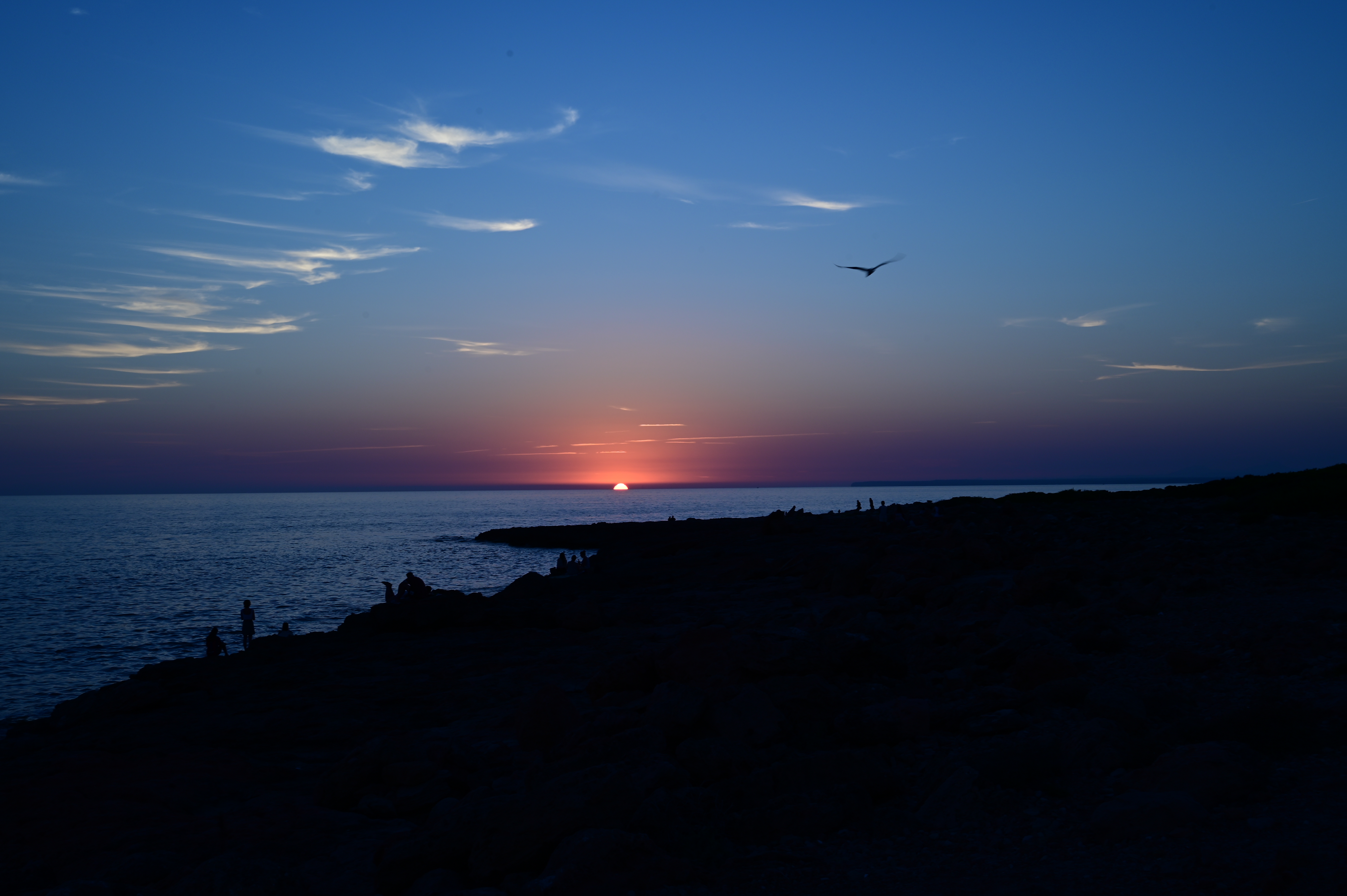 DSC 0400